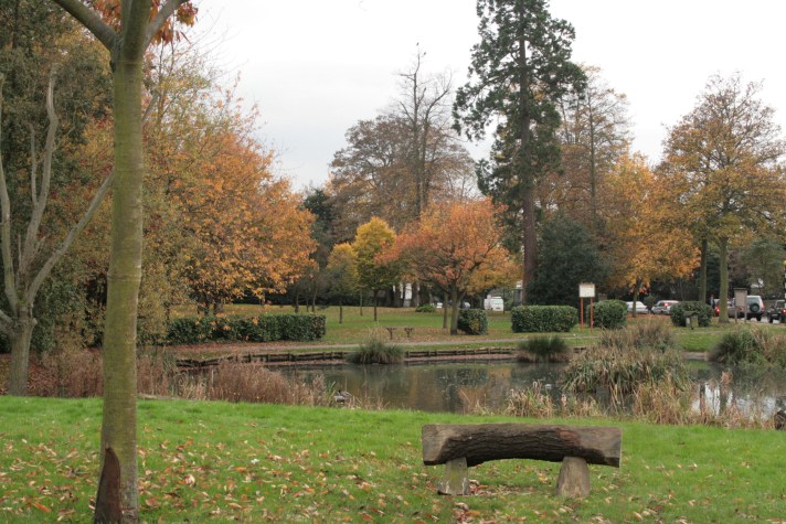 Sanderstead Pond