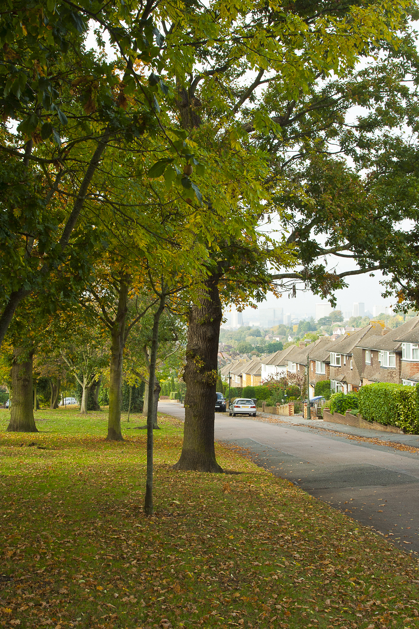 Sanderstead Sign Images of Sanderstead – Sanderstead Residents' Association